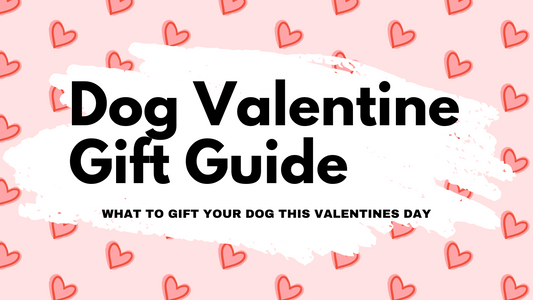 dog valentine gift guide banner