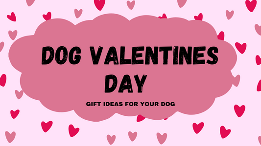 dog valentines day gift ideas