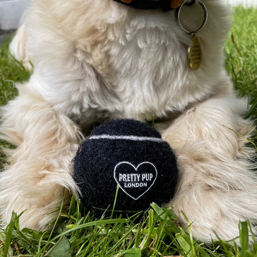 black dog tennis ball with pretty pup london logo