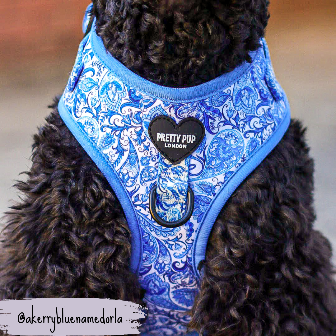 Blue Adjustable Dog Harness | Regal Paisley | "The Aubrey"