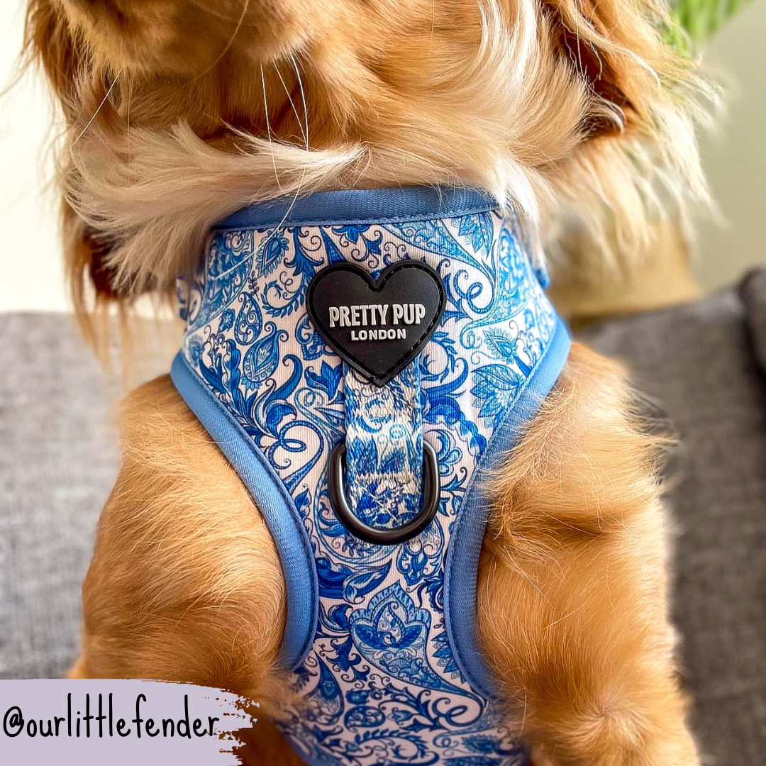 Blue Adjustable Dog Harness | Regal Paisley | "The Aubrey"