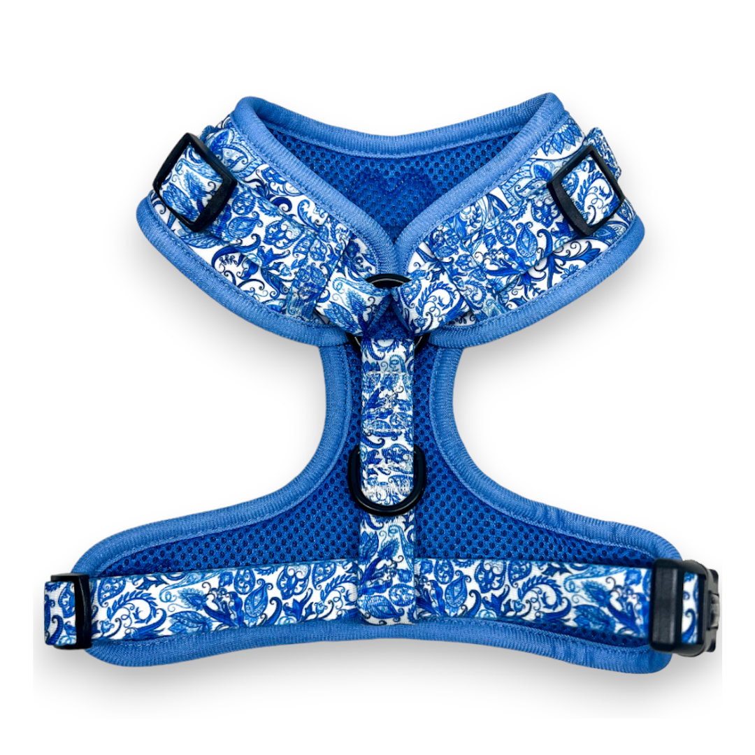 adjustable dog harness in paisley print