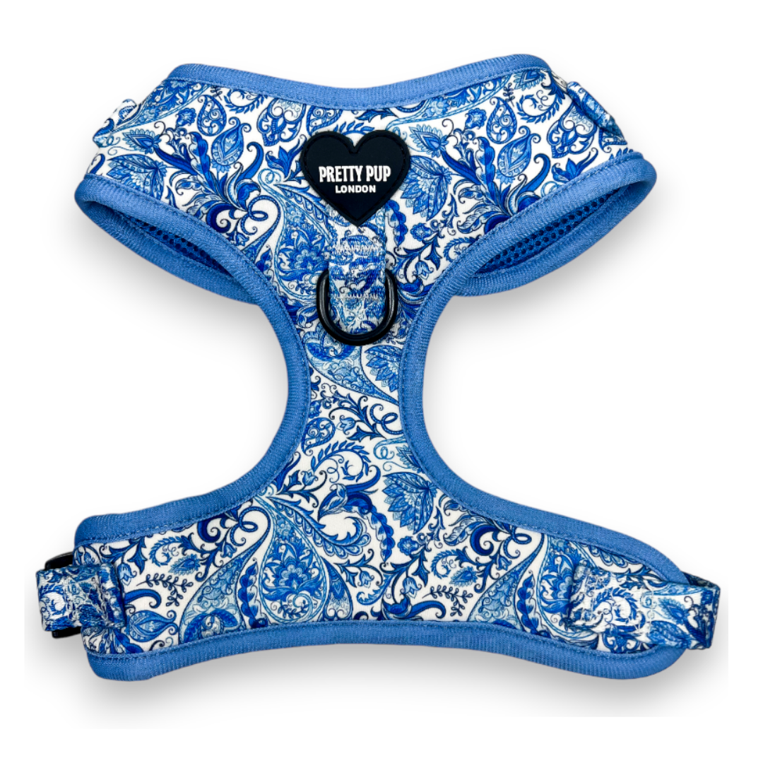 Blue Adjustable Dog Harness | Regal Paisley | "The Aubrey"