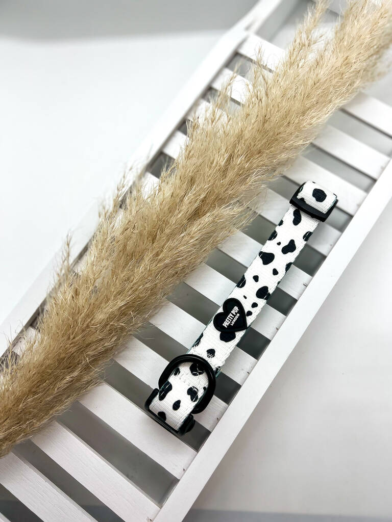 dalmatian print dog collar positioned next to pampas grass