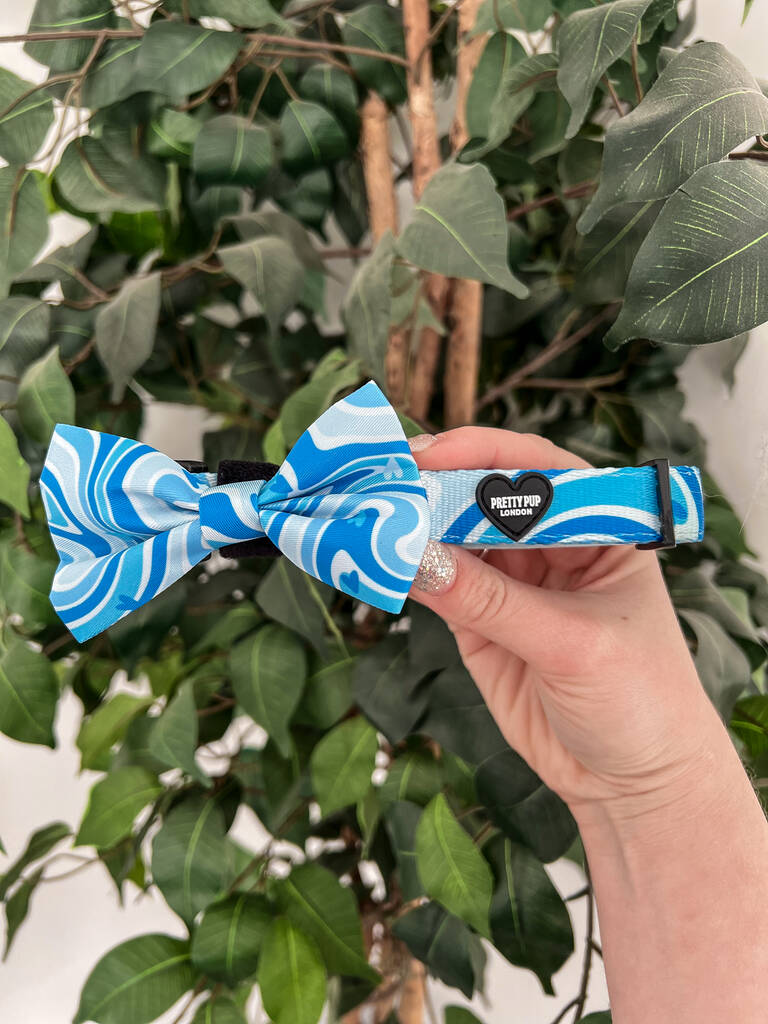 blue dog bow tie attached to adjustable dog collar held up by a persons hand