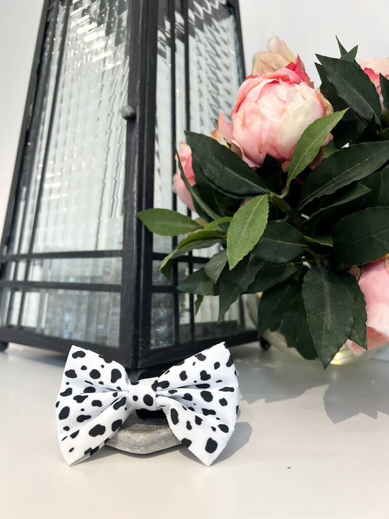 dalmatian print dog bow resting on a countertop