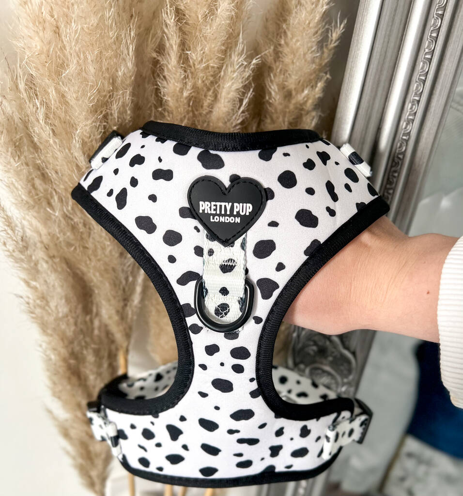 dalmatian print adjustable dog harness held in front of pampas grass