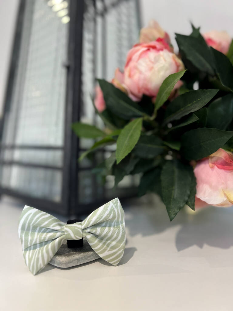 green zebra print dog bow tie resting on a coaster