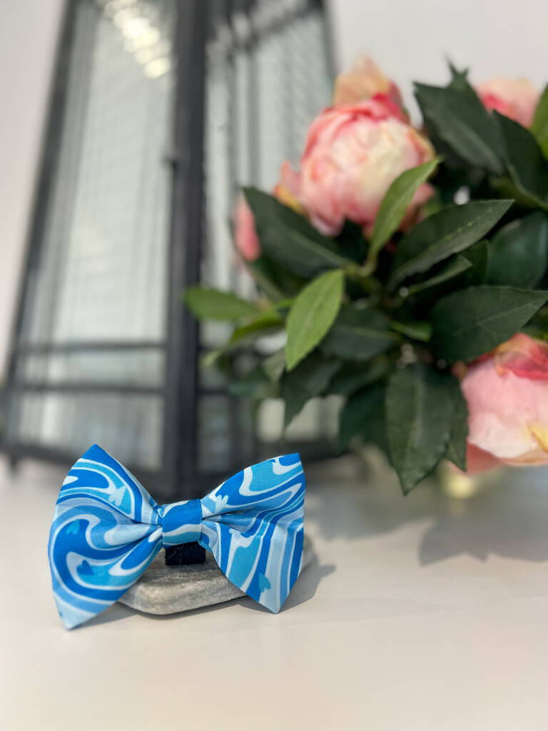 blue dog bow tie lay on countertop