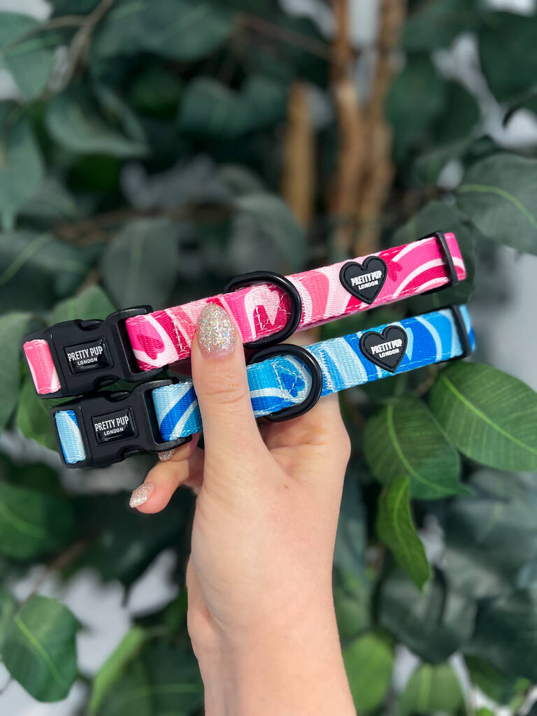 pink and blue matching dog collars held up for a photo