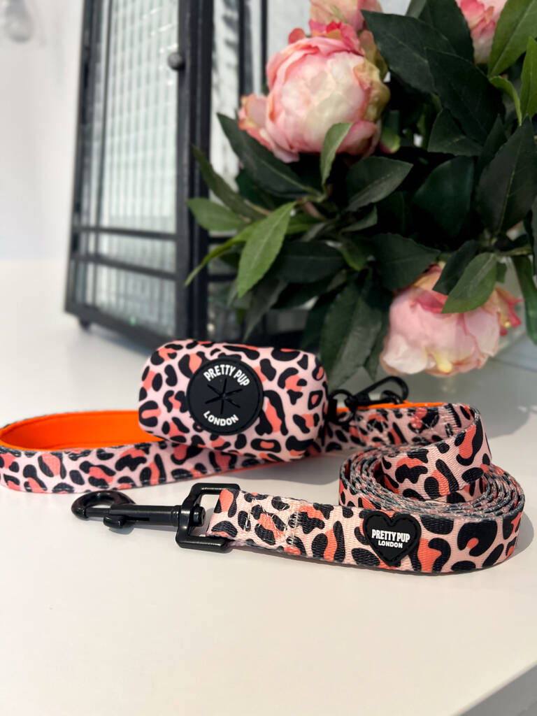 orange leopard print dog lead and matching dog poo bag dispenser attached