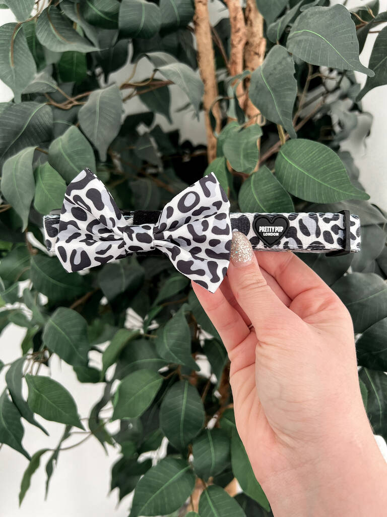 grey leopard print dog collar with leopard print dog bow tie attached to it being held up to the camera