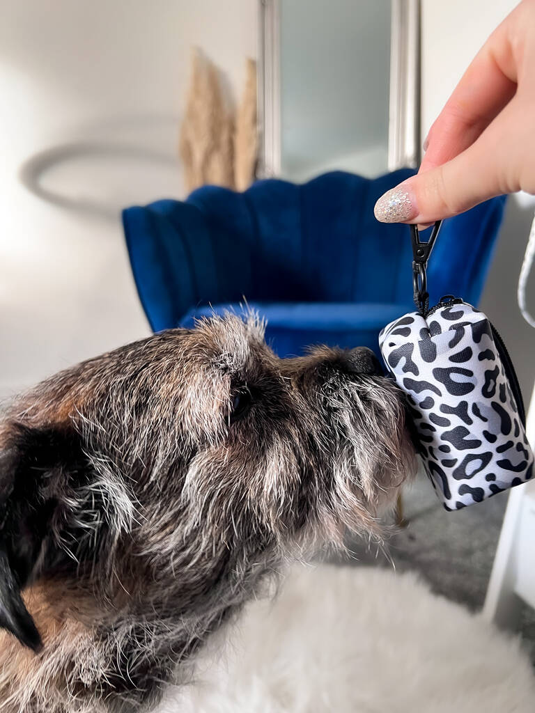 leopard print dog poo bag holder with border terrier dog 