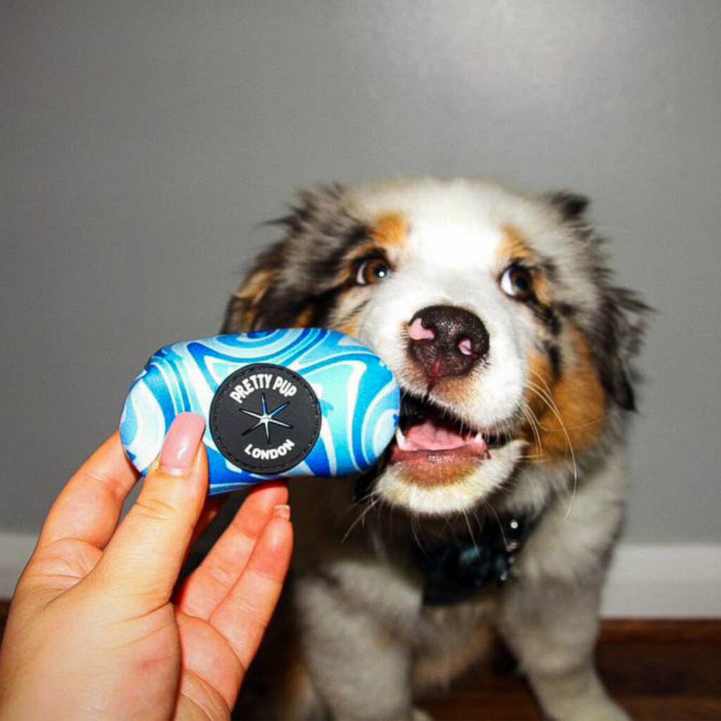 australian doodle dog biting a blue dog poo bag dispenser