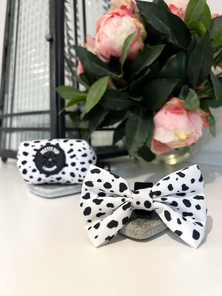 dalmatian print dog bow on a counter top