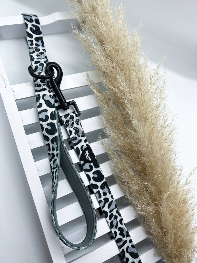 grey leopard print dog lead clipped to a white board