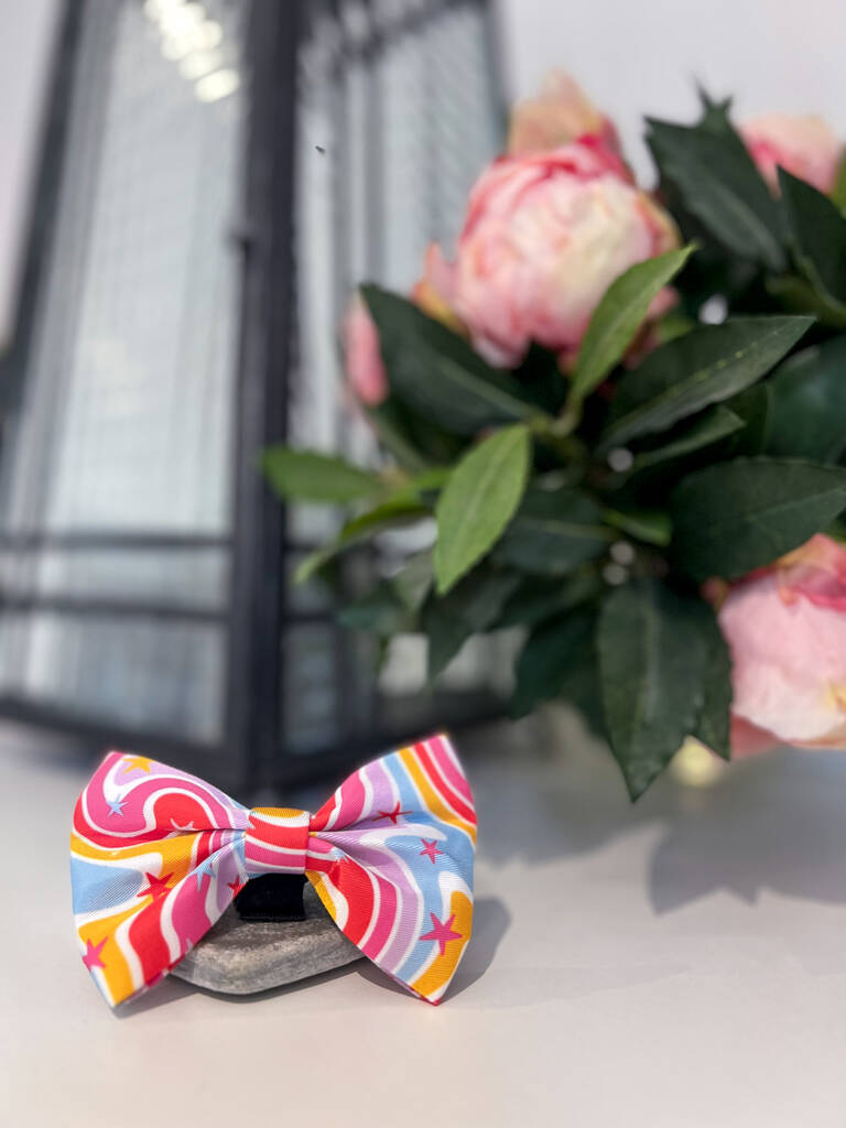 rainbow dog bow tie resting on a stone plaque