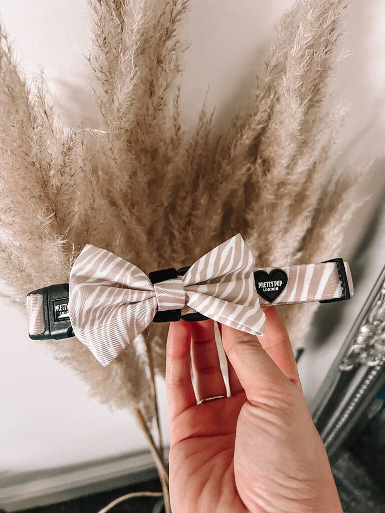 beige zebra print dog bow tie collar held up for the camera