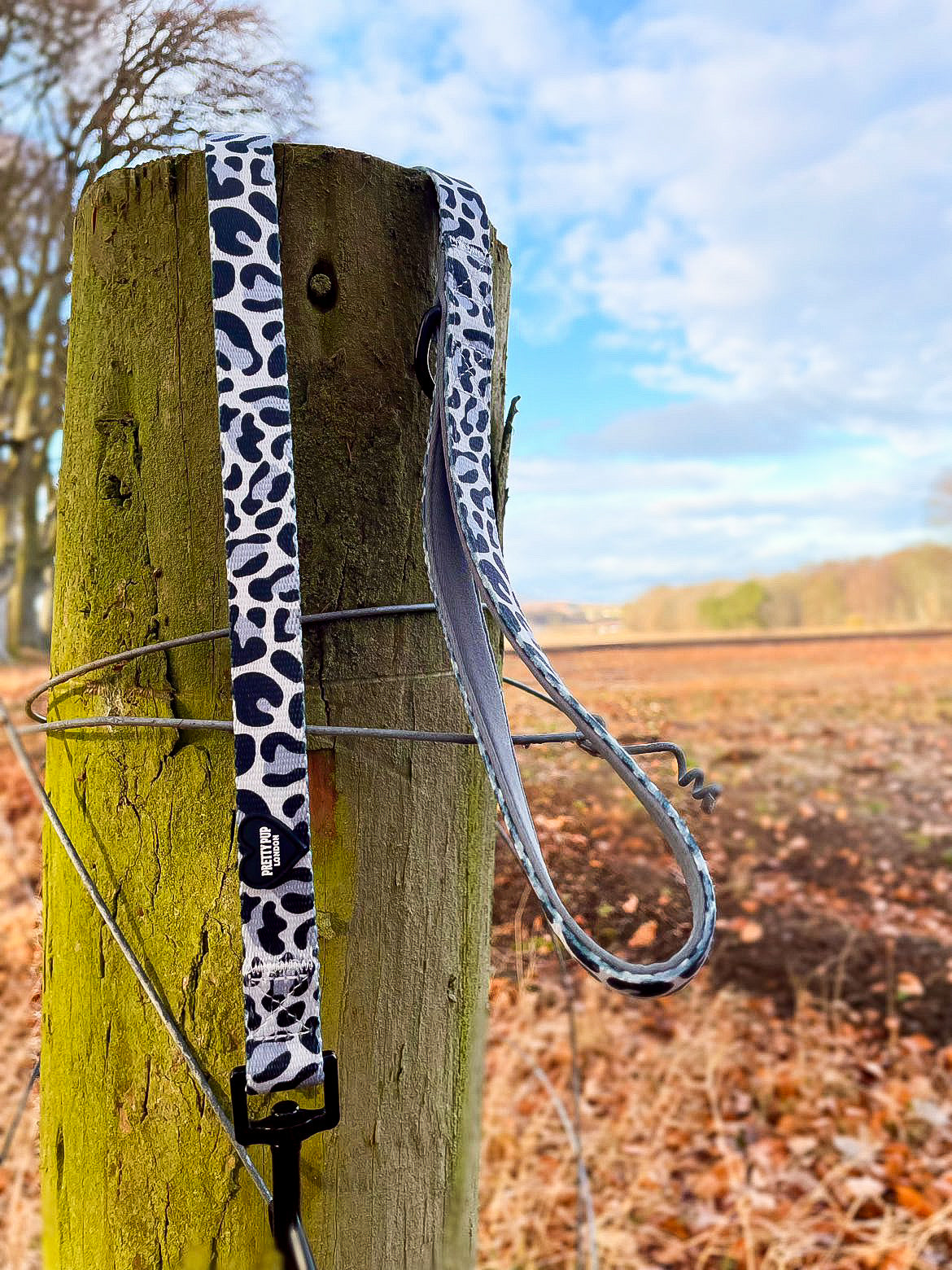 leopard print dog lead hanging on a tree