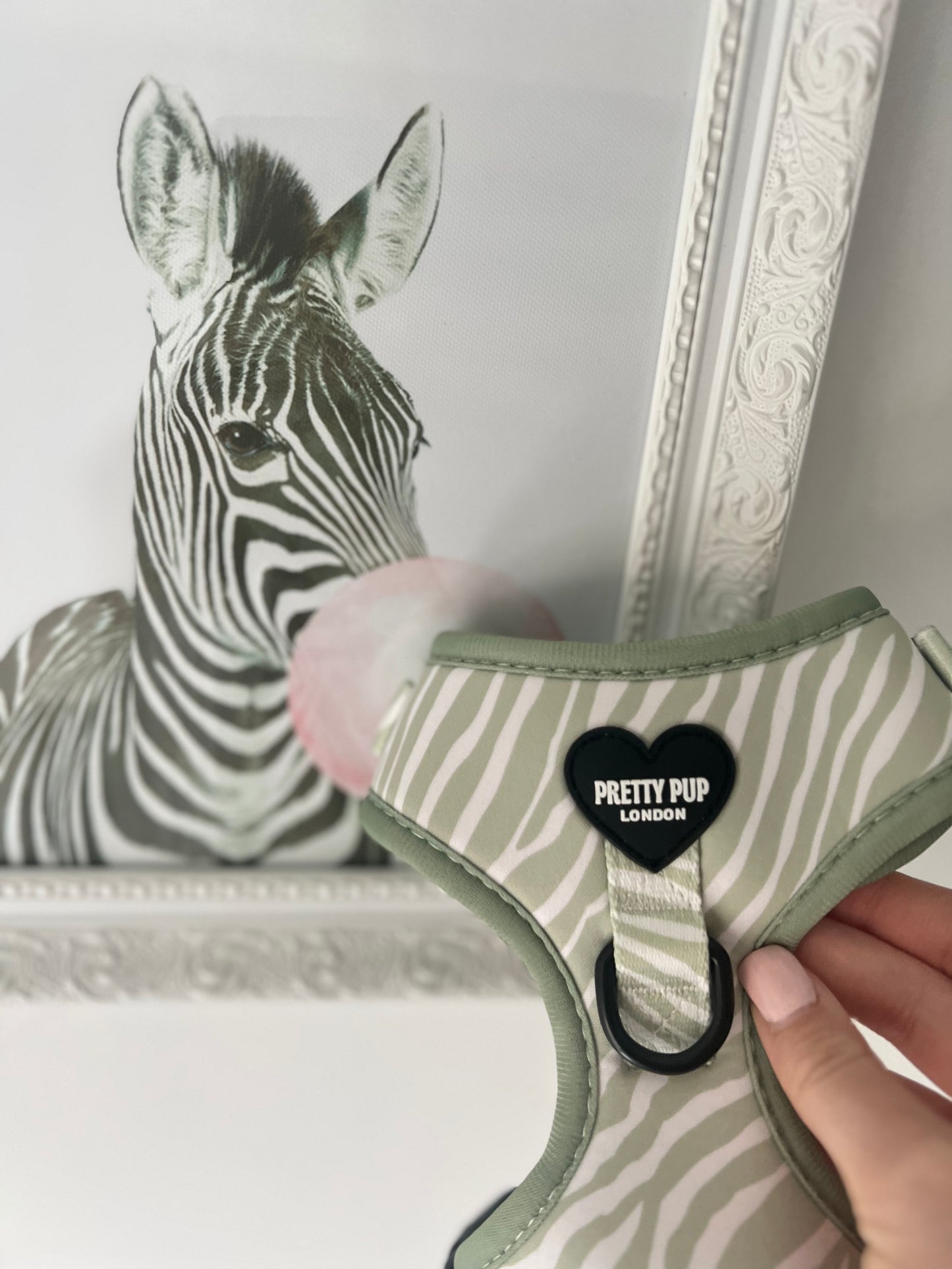 green zebra print dog harness in front of zebra drawing