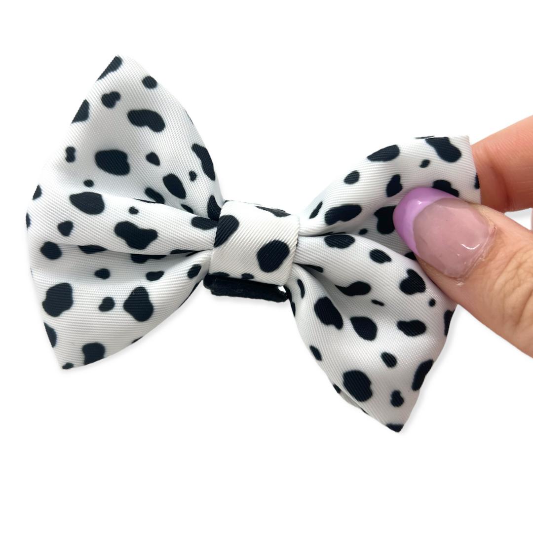 dalmatian print dog bow tie