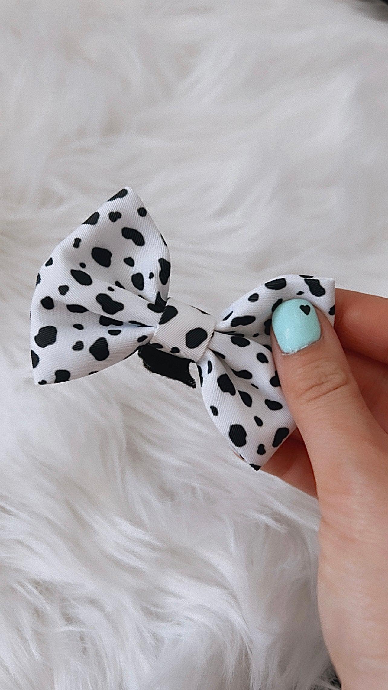 dalmatian spots dog bow tie