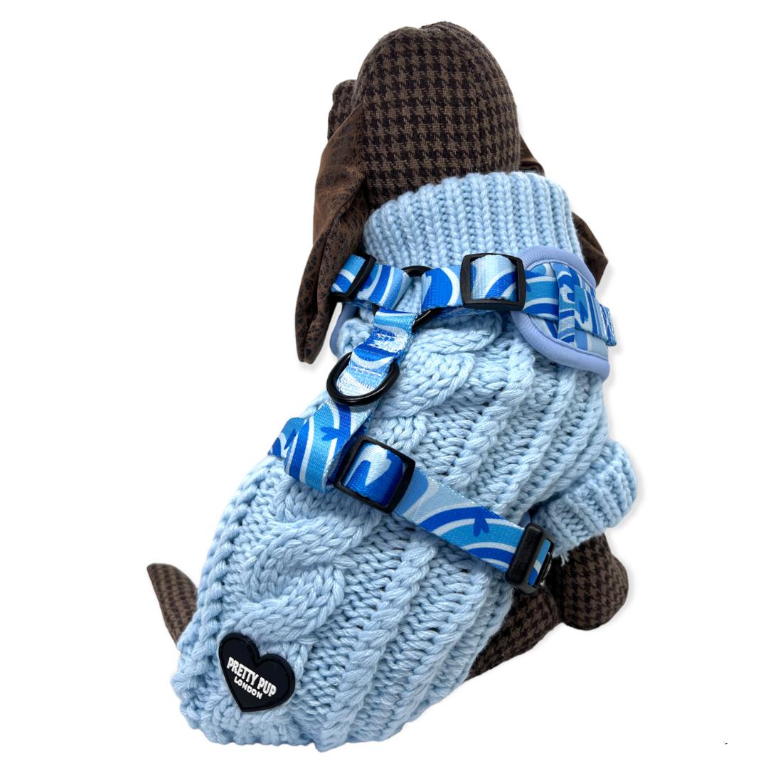 cosy knit dog jumper and blue designer dog harness