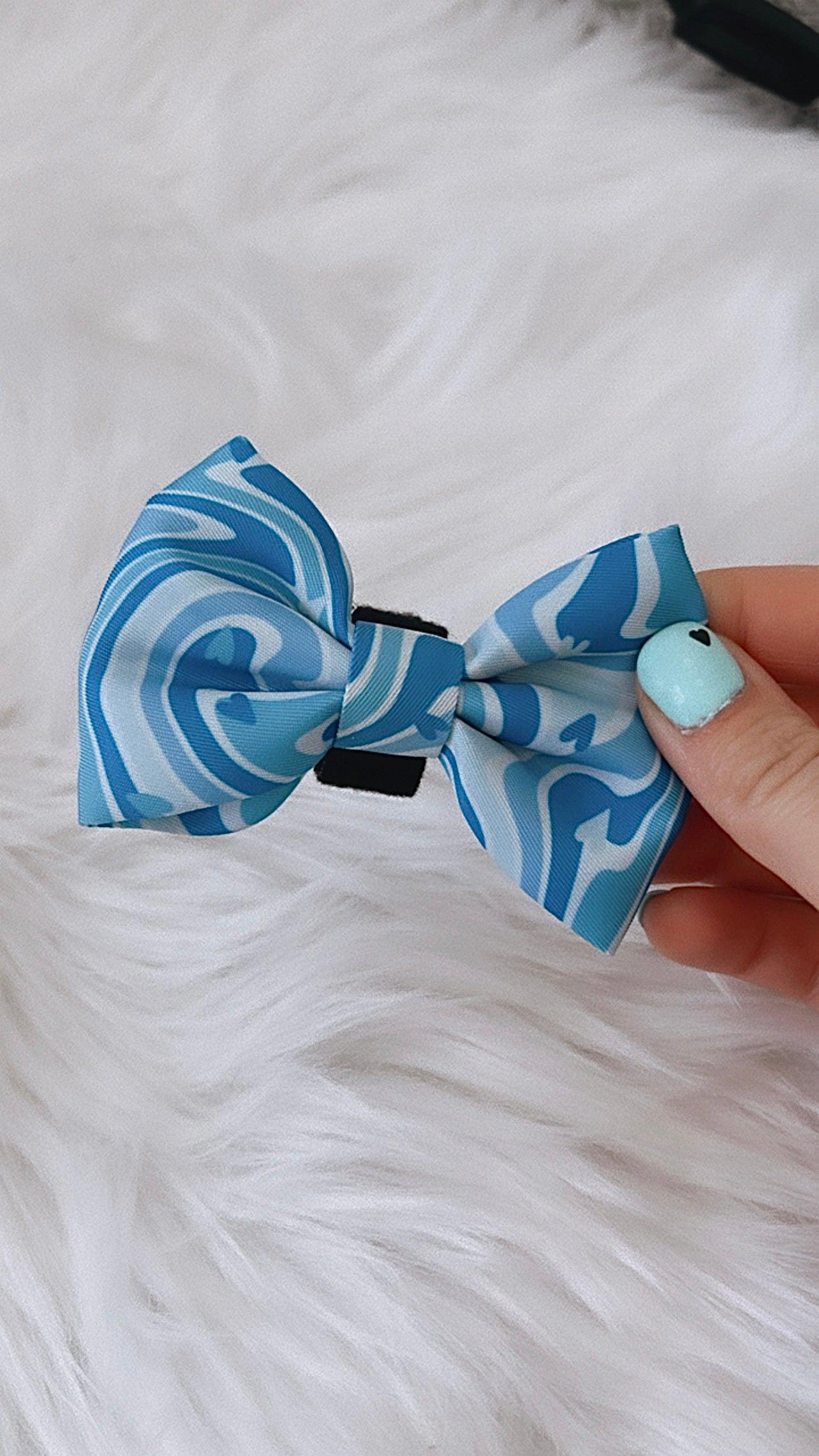 blue dog bow