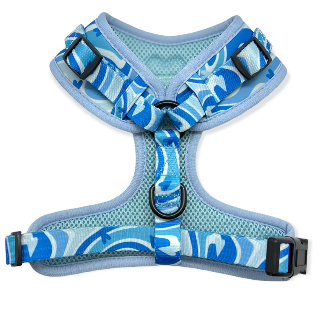 Baby blue 2025 dog harness