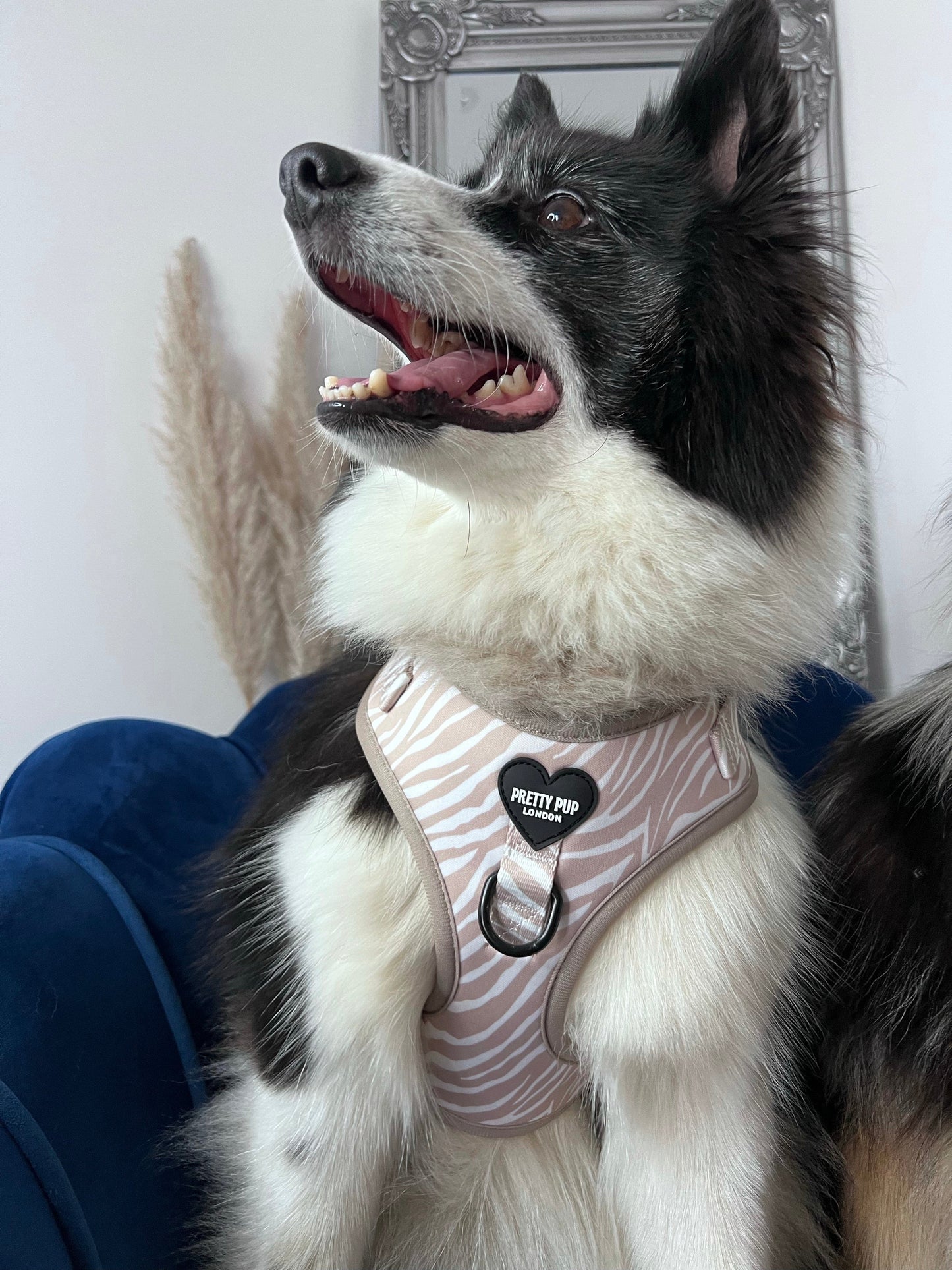 Luxury Dog Harness Adjustable