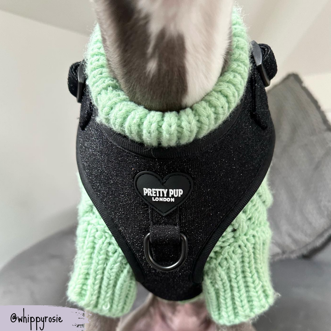 glitter dog harness in black photographed close up on a whippet