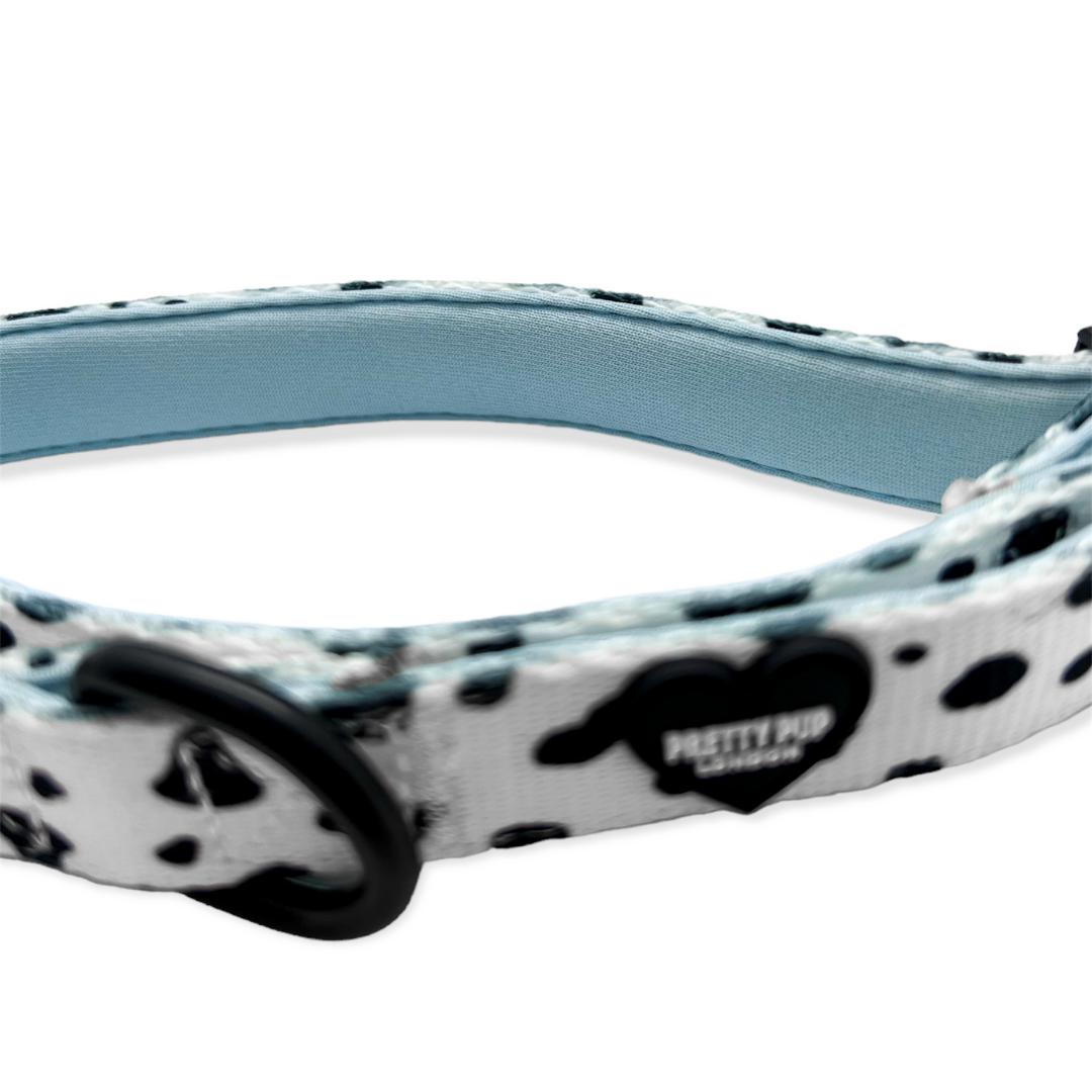 blue dalmatian print dog collar