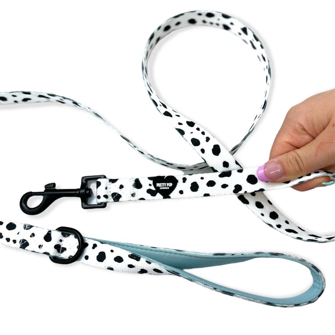 blue dalmatian print dog lead