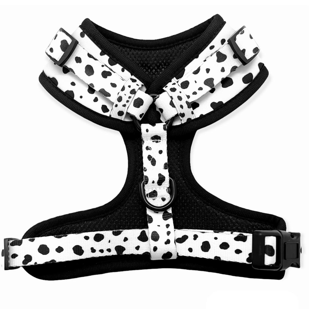 black dalmatian print designer dog harness by pretty pup london