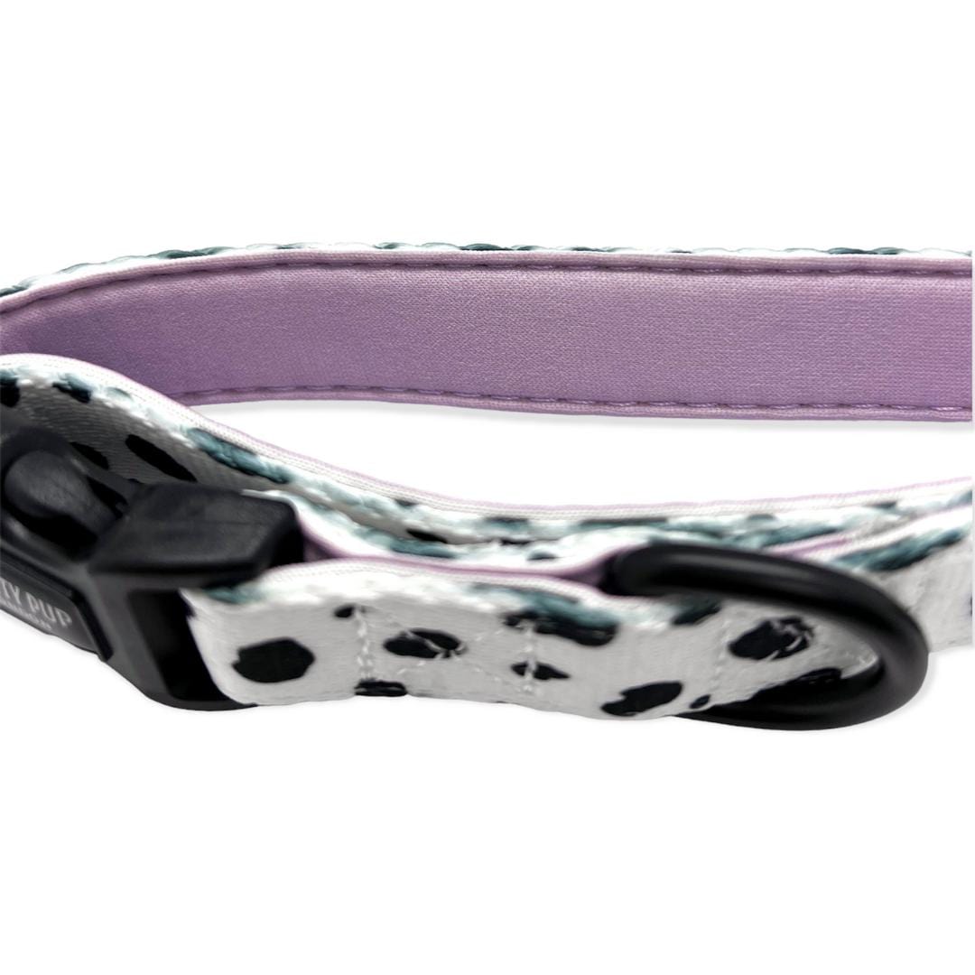 purple dalmatian print dog collar