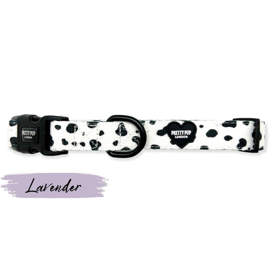 purple dalmatian print adjustable dog collar