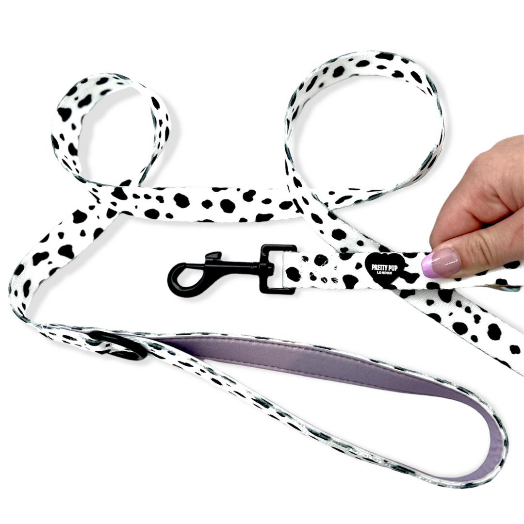 purple dalmatian print dog lead