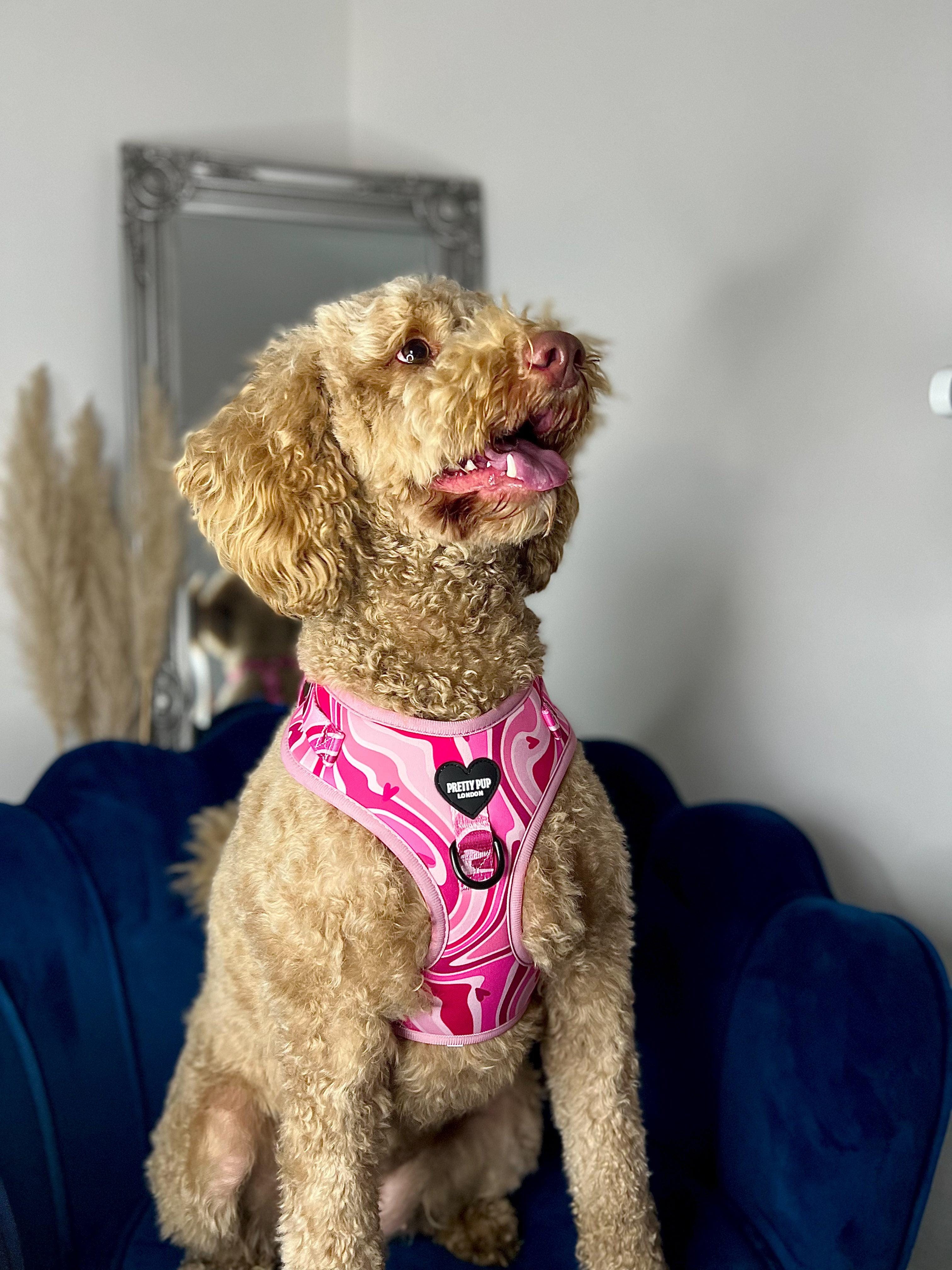 Pink k9 clearance harness