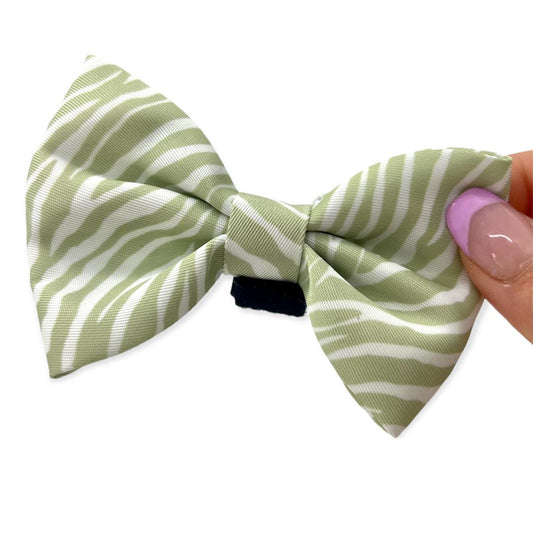 green dog bow tie