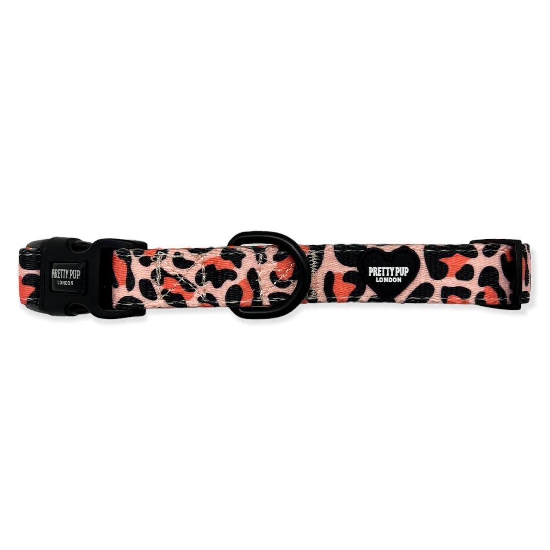 orange leopard print adjustable dog collar