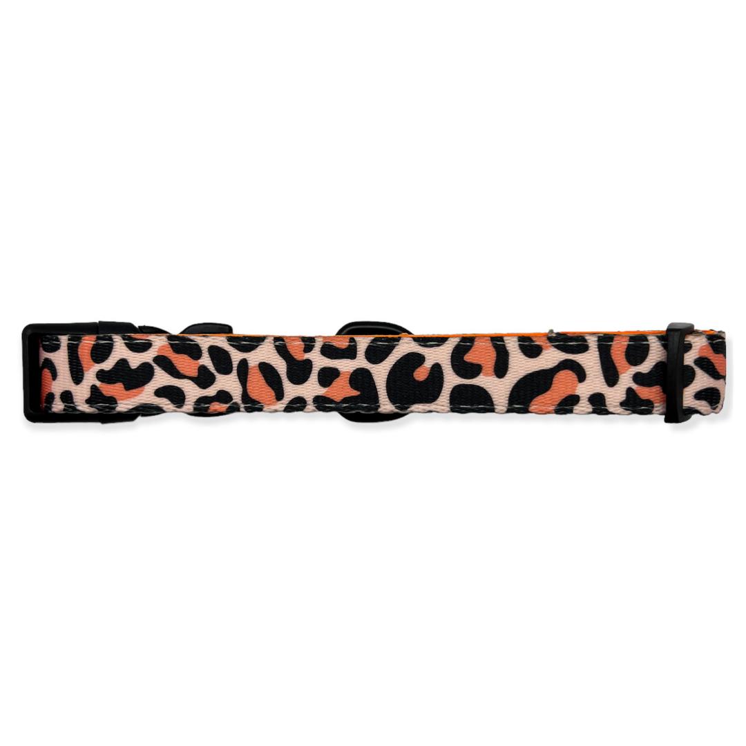 orange leopard print designer dog collar