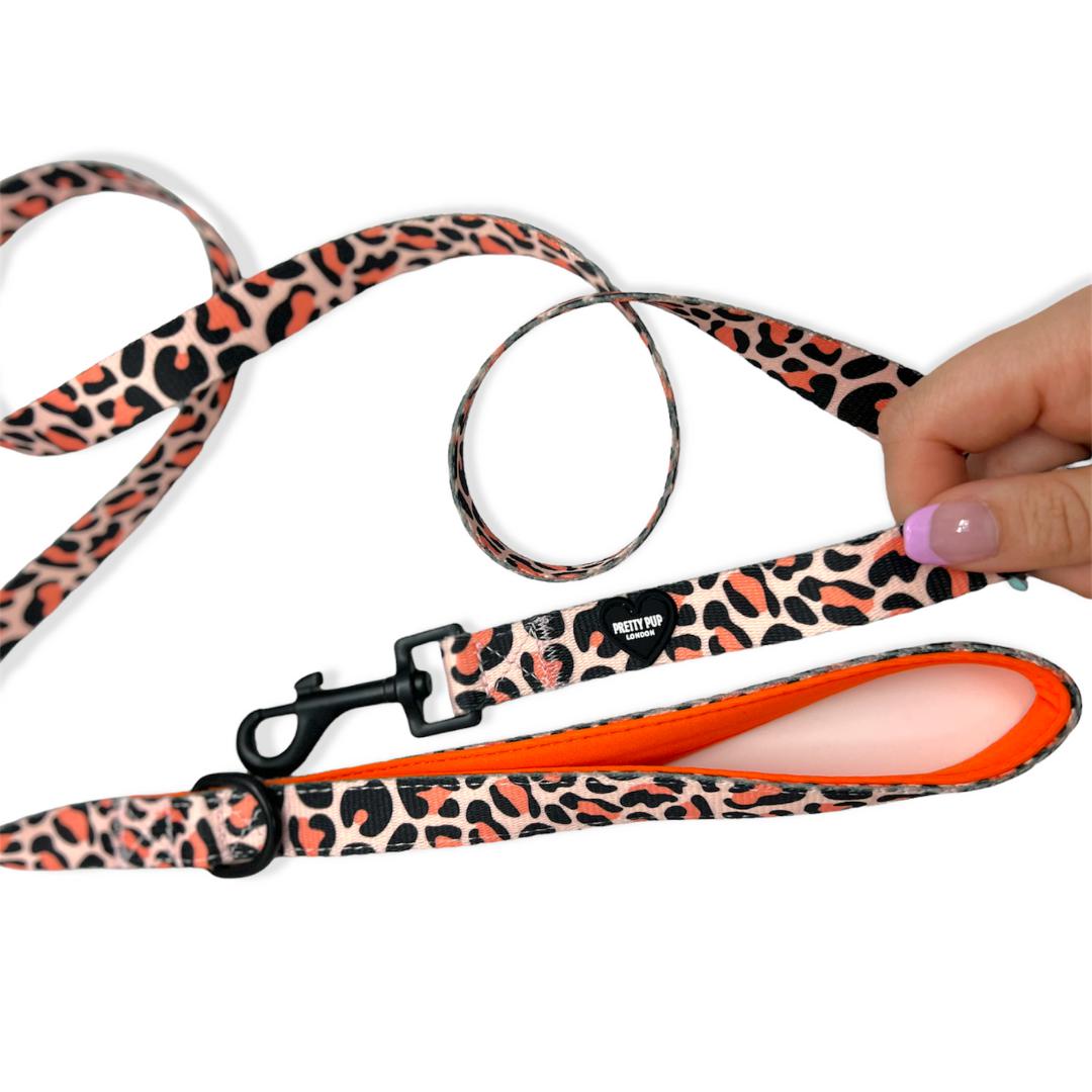 orange leopard print designer dog lead