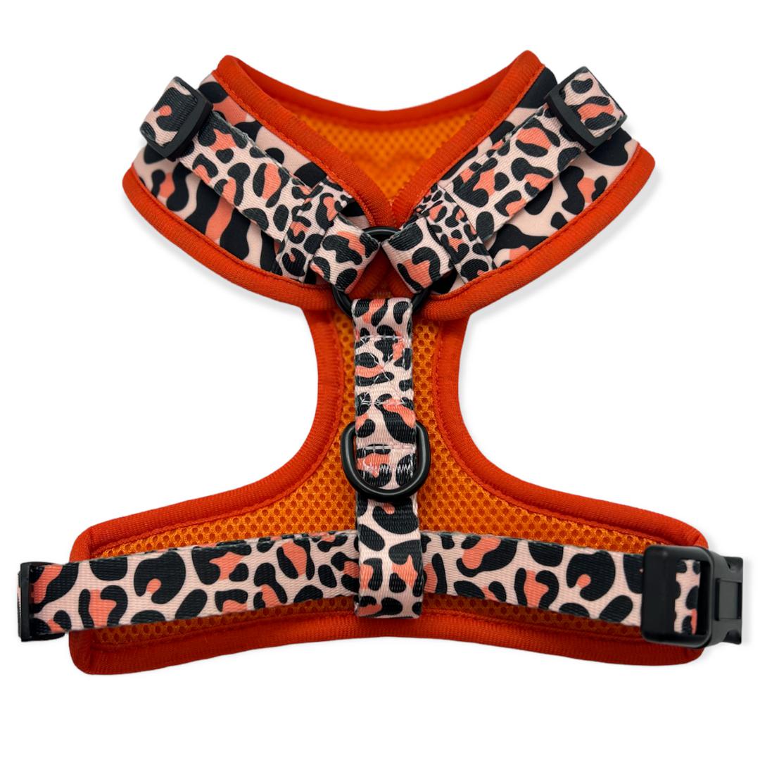 orange leopard print designer dog harness