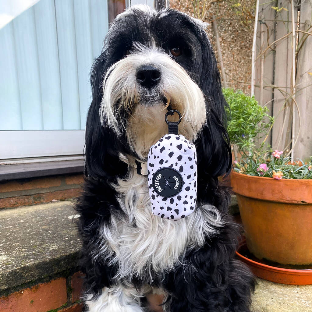 tibetan terrier holding a dalmatian print dog poo bag dispenser