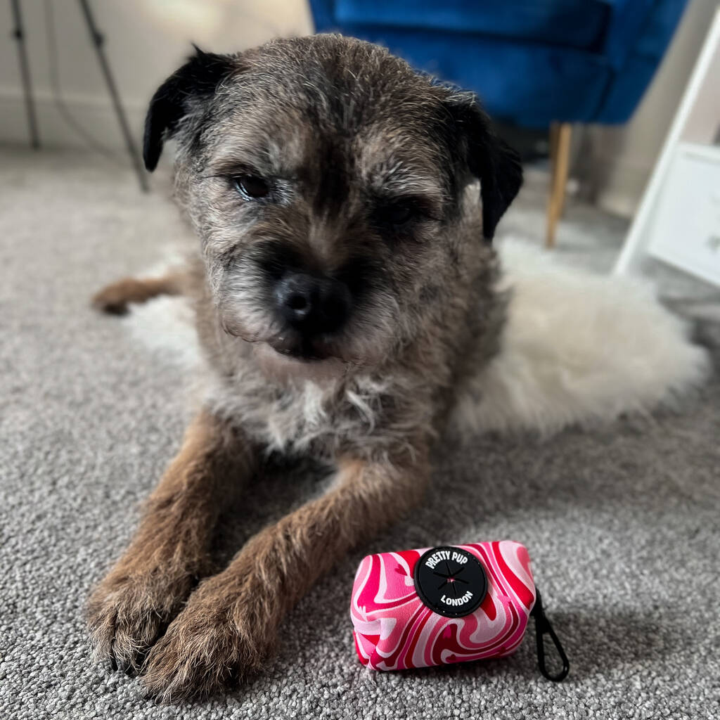 border terrier with pink dog poo bag dispenser