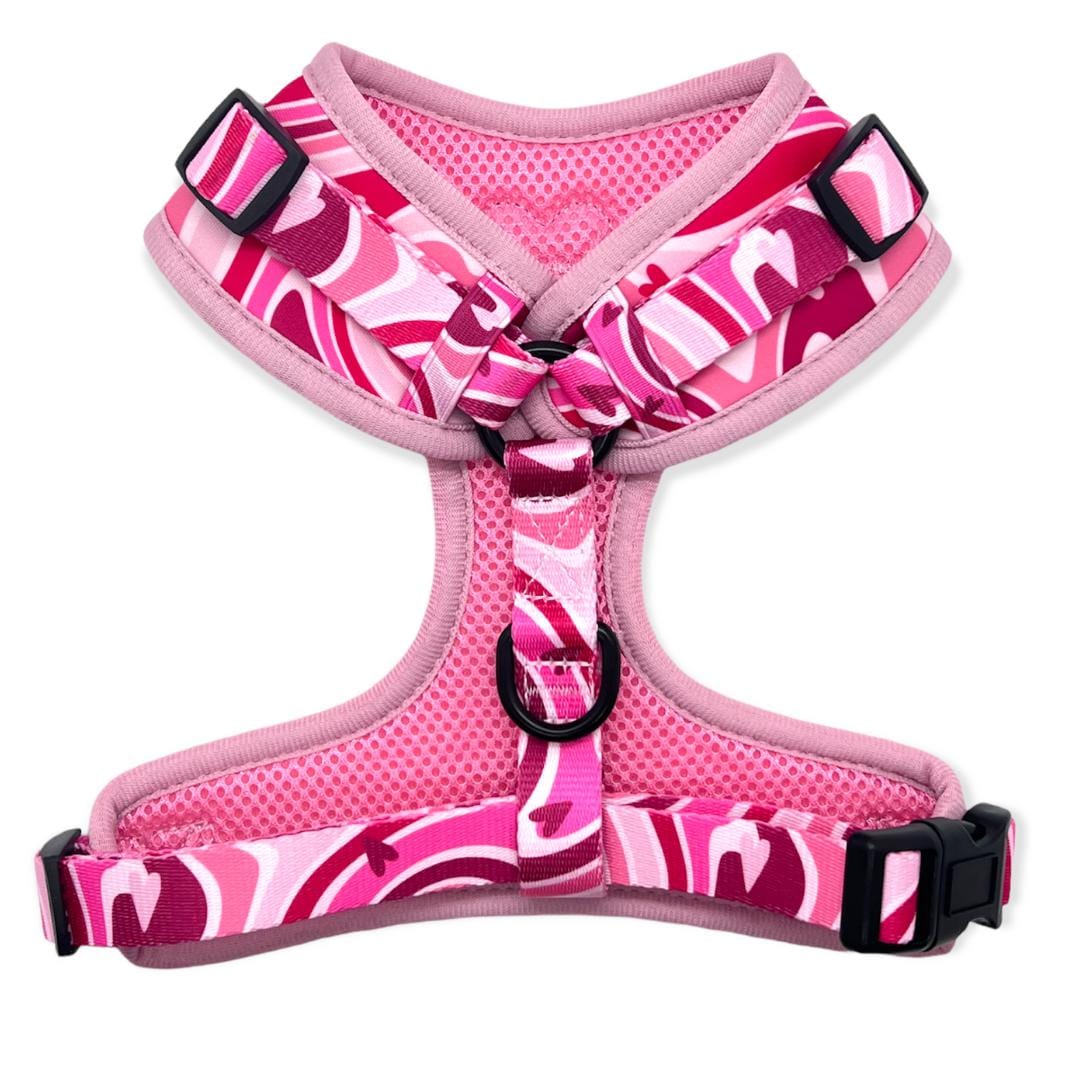 Pink discount dog accessories