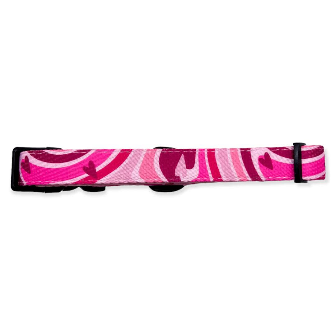 pink designer dog collar