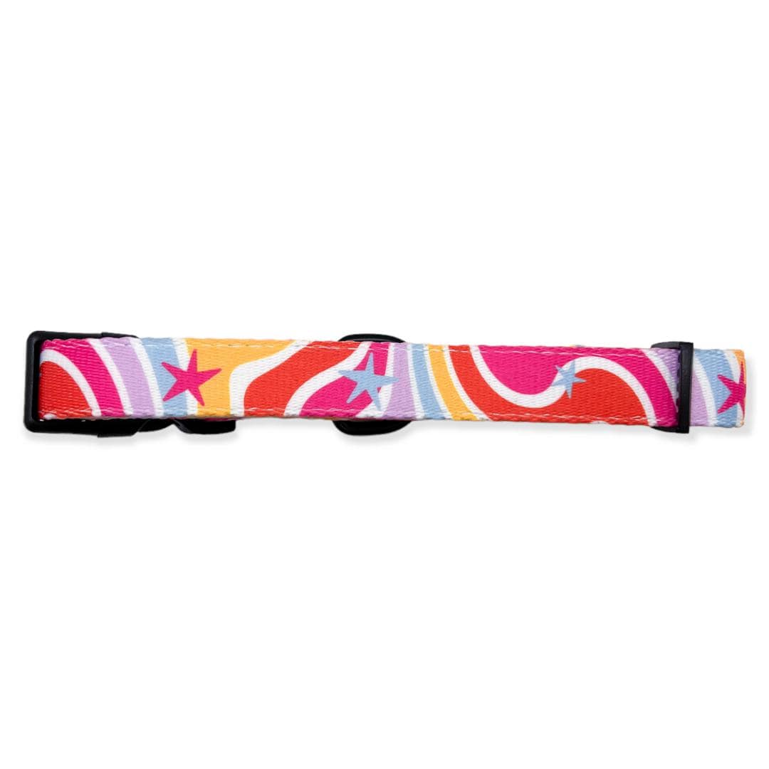 rainbow designer dog collar