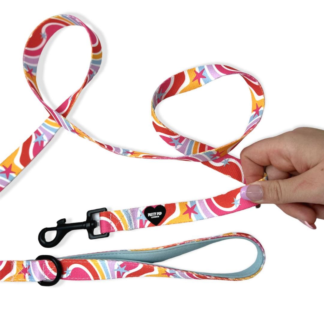 rainbow designer dog lead