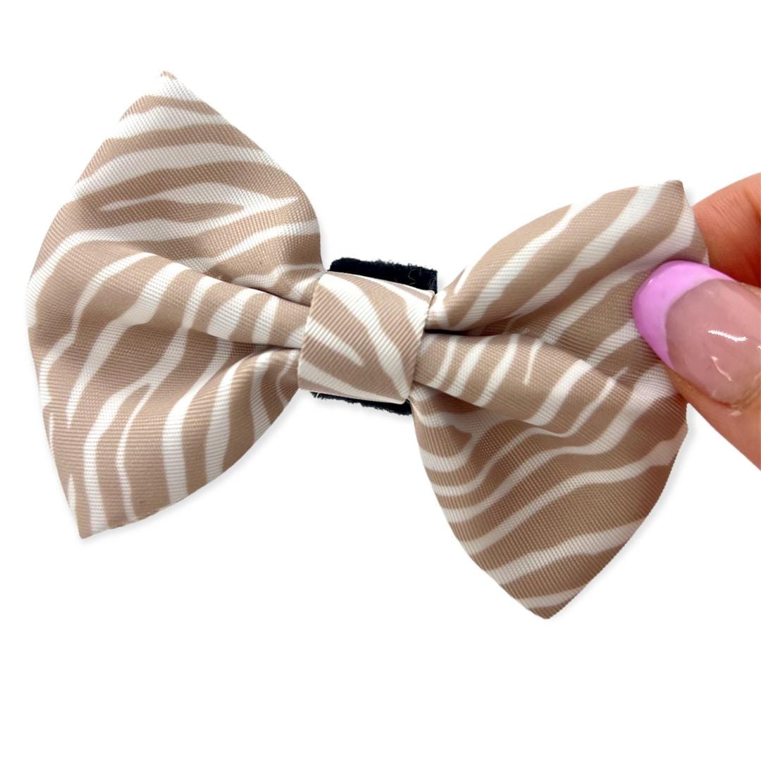 beige dog bow tie